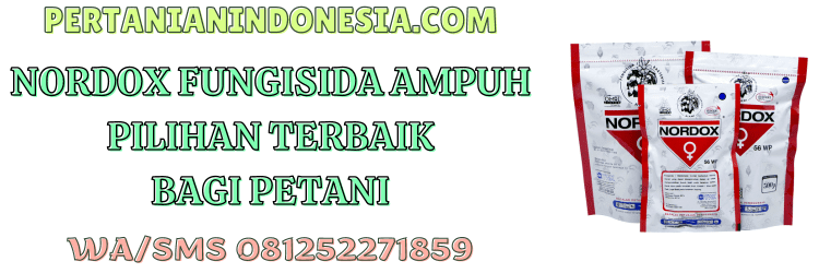 nordox,fungisida,nordox 56 wp,fungisida nordox,pestisida,pertanian indonesia